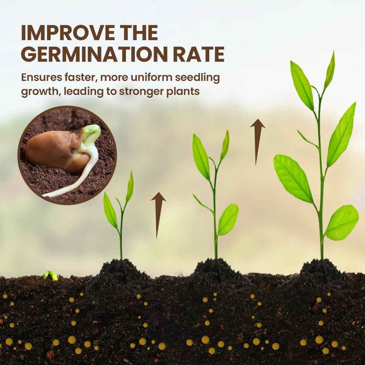 ÜBER 75.000 VERKAUFT! 🌳Soil Pro Aktivator