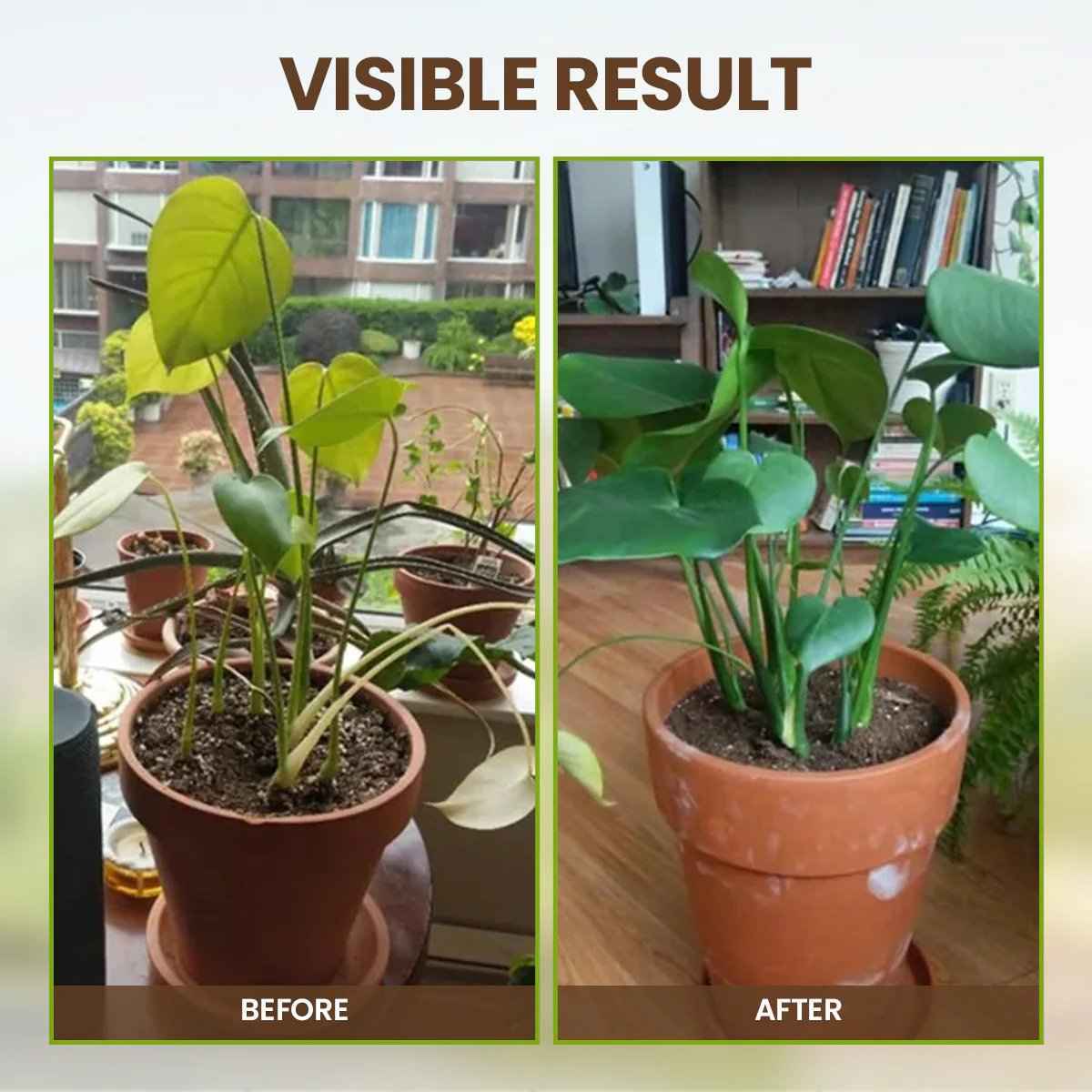 ÜBER 75.000 VERKAUFT! 🌳Soil Pro Aktivator