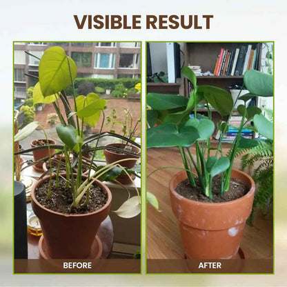 ÜBER 75.000 VERKAUFT! 🌳Soil Pro Aktivator