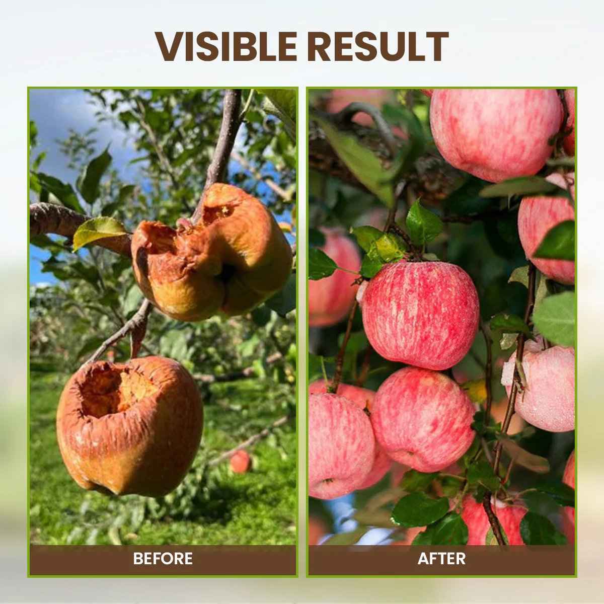 ÜBER 75.000 VERKAUFT! 🌳Soil Pro Aktivator