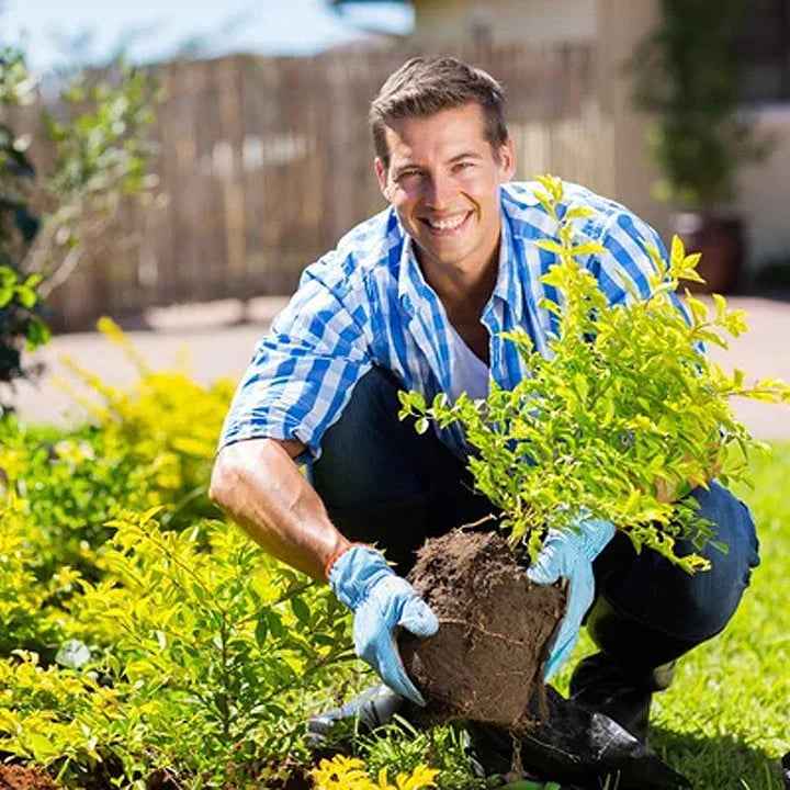ÜBER 75.000 VERKAUFT! 🌳Soil Pro Aktivator